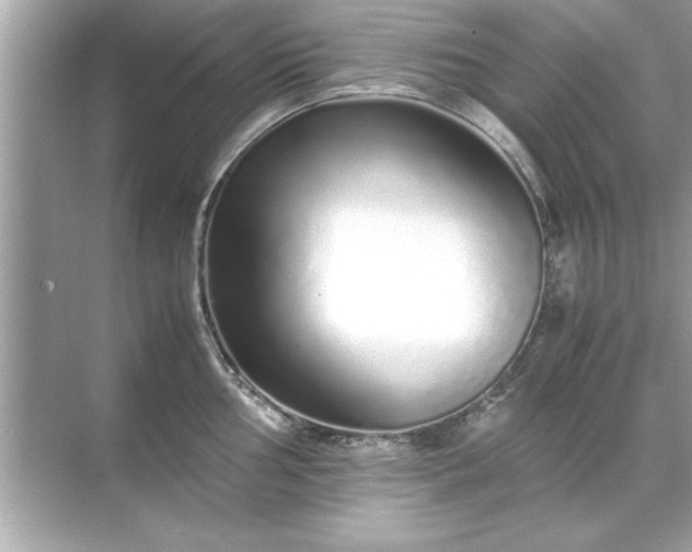 X0000071841002200607072231