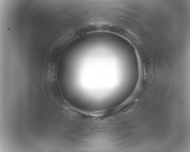 X0000071841014200607072230