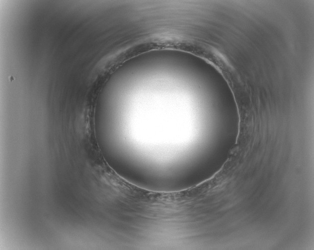 X0000071841016200607072230