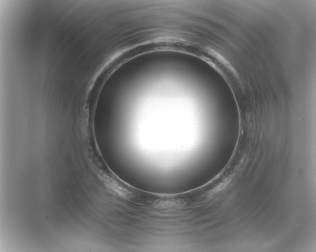 X0000071841021200607072230