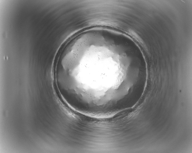 X0000071841028200607072230