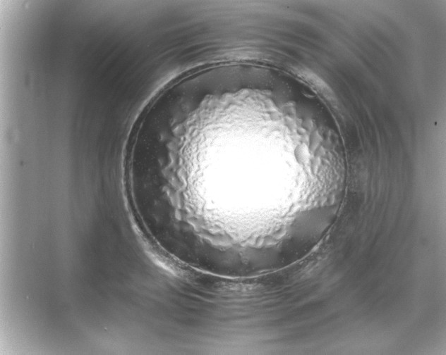 X0000071841039200607072230