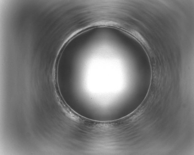 X0000071841044200607072230