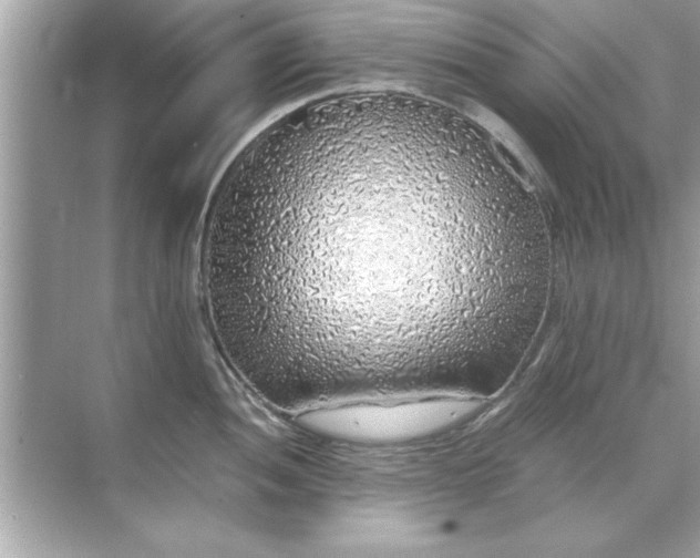 X0000071841052200607072230