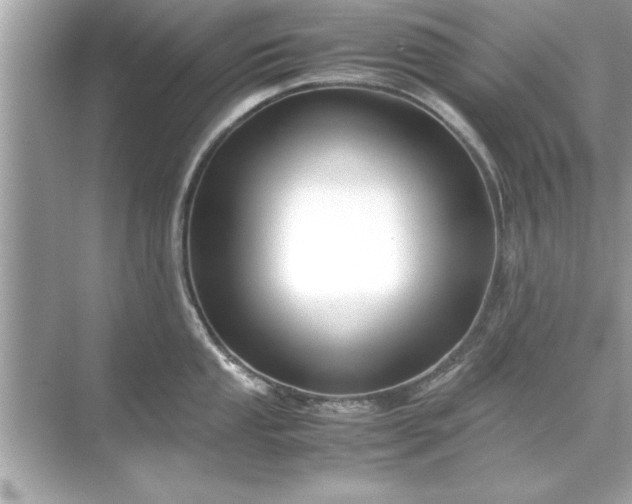 X0000071841053200607072230