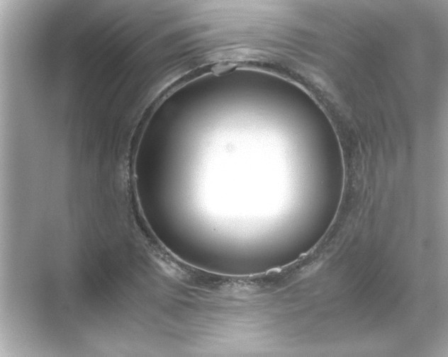 X0000071841073200607072229
