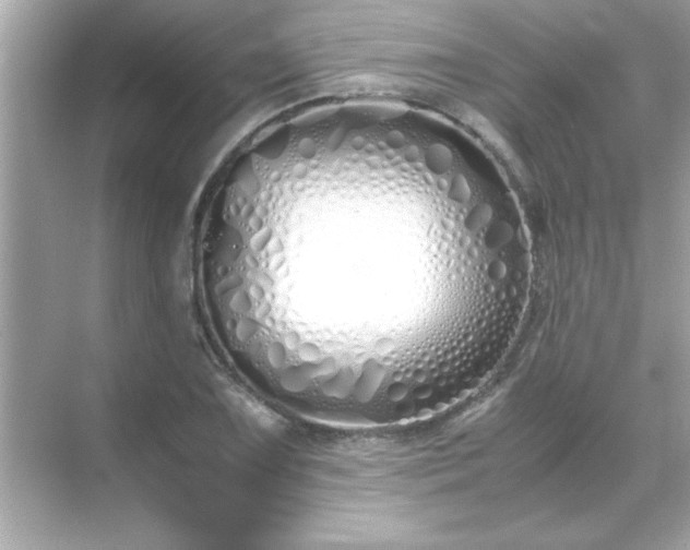 X0000071841075200607072229