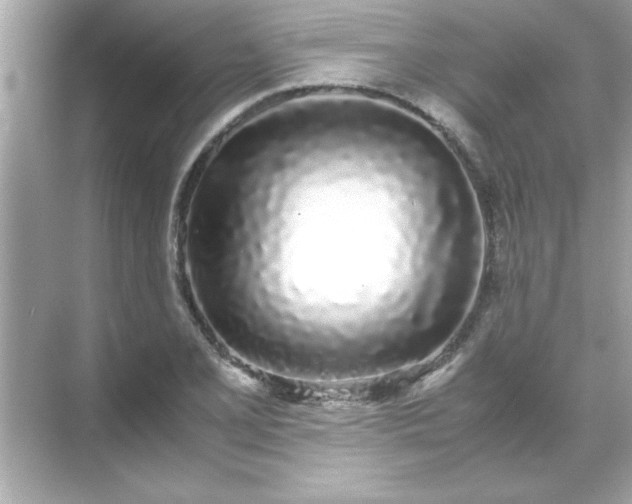 X0000071841077200607072229