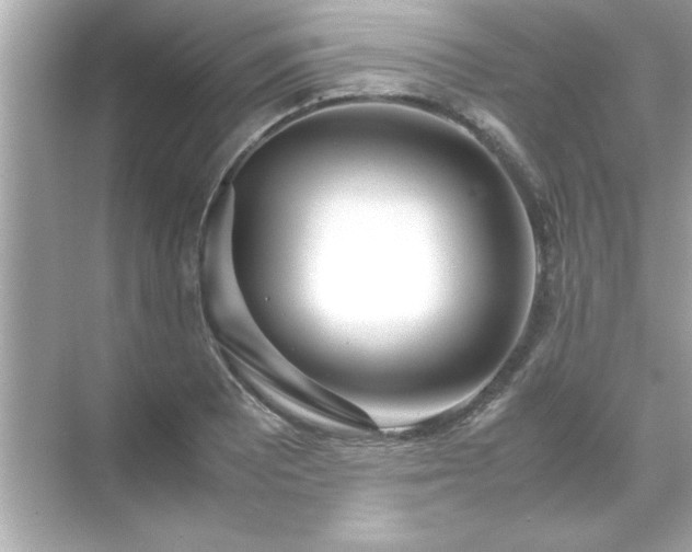 X0000071841081200607072229