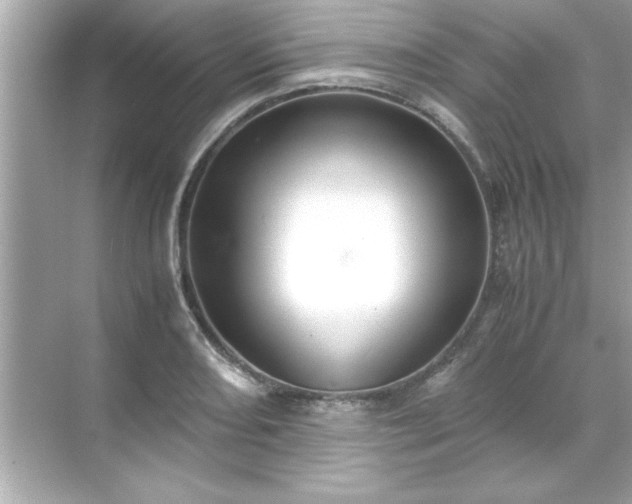 X0000071841082200607072229