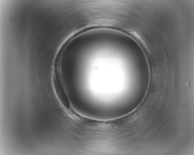 X0000071841085200607072229