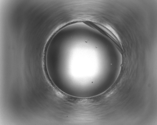 X0000071841093200607072229