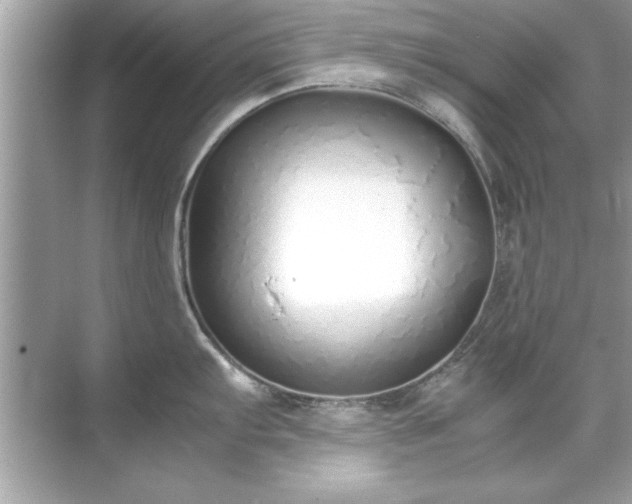 X0000071841103200607072229