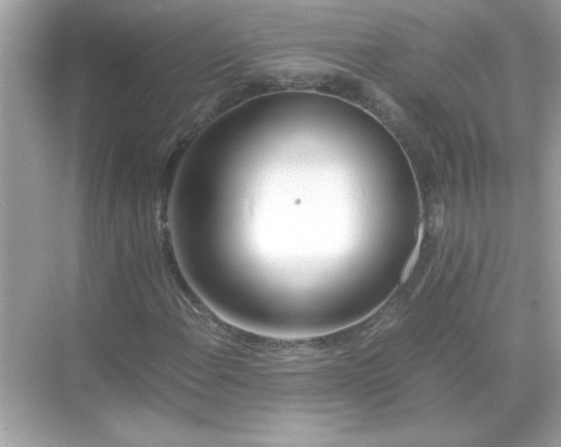 X0000071841108200607072228