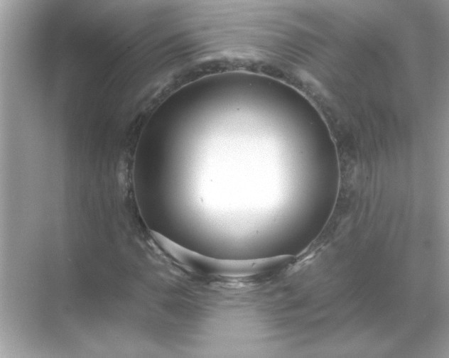 X0000071841110200607072228