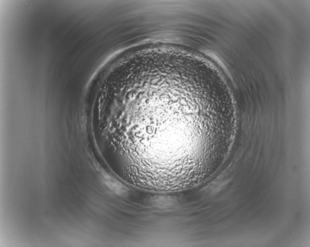 X0000071841115200607072228