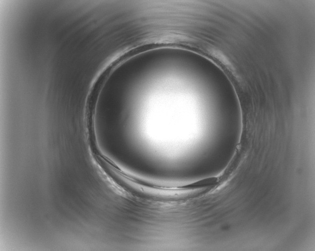 X0000071841122200607072228