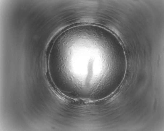 X0000071841123200607072228