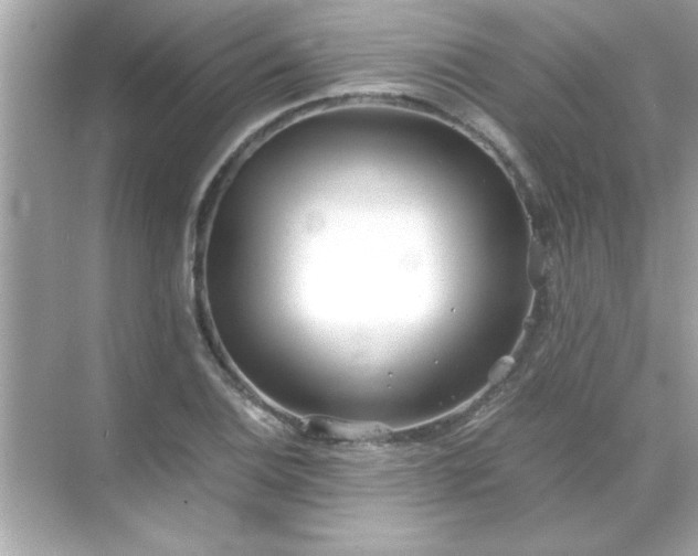 X0000071841124200607072228