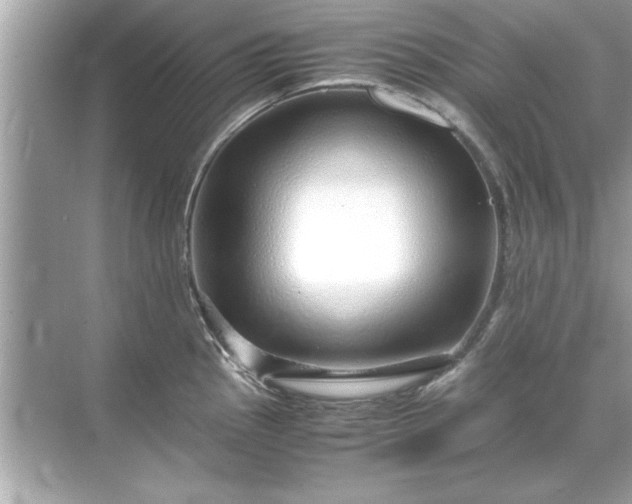 X0000071841145200607072229
