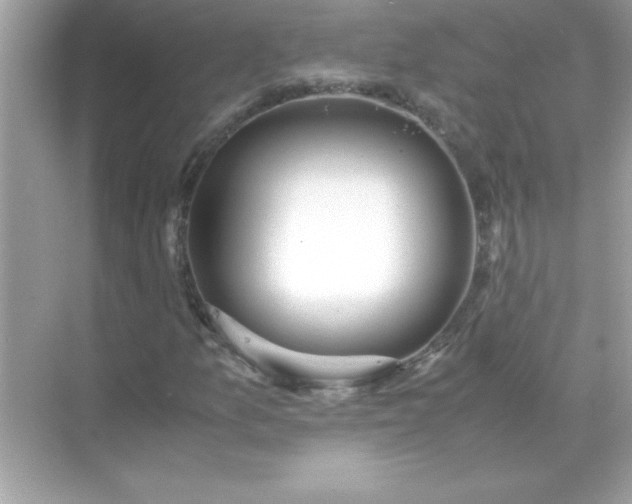 X0000071841157200607072228