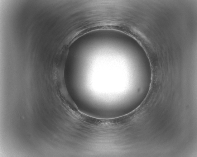 X0000071841169200607072228