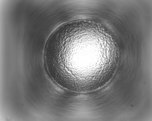 X0000071841178200607072228