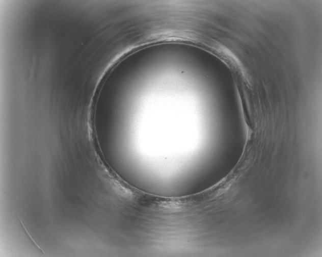 X0000071841182200607072228