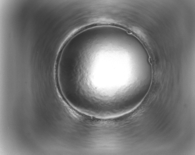 X0000071841183200607072228