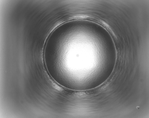 X0000071841186200607072228