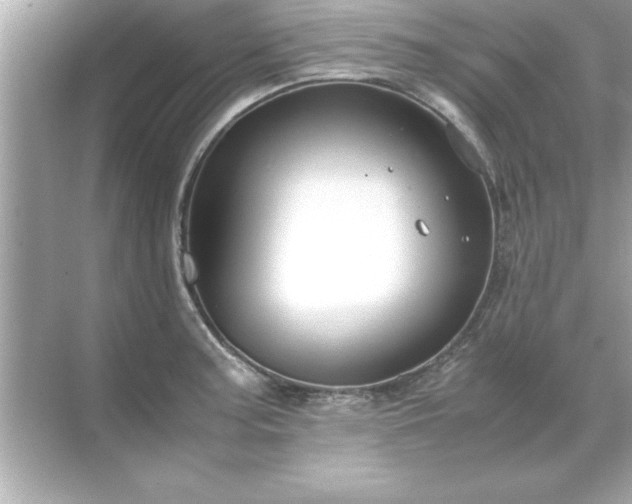 X0000071841187200607072228