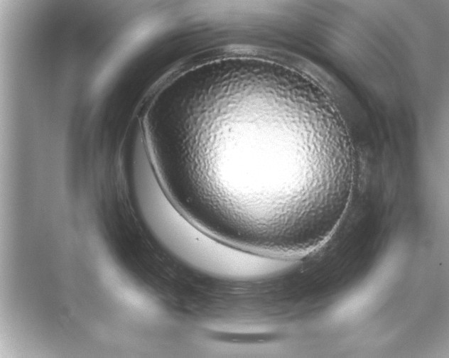 X0000071841198200607072227