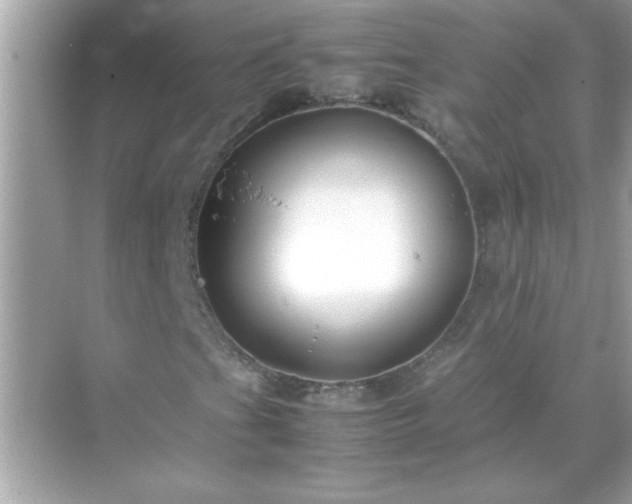 X0000071841201200607072227