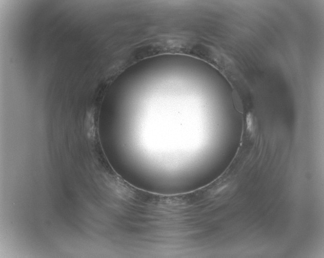 X0000071841203200607072227