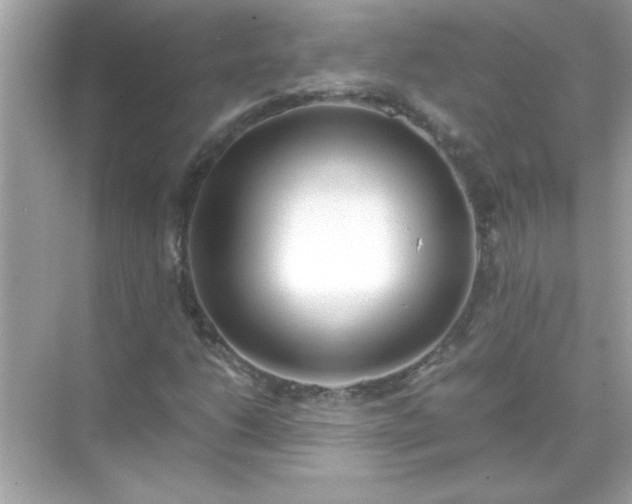 X0000071841206200607072227