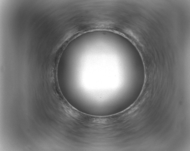X0000071841211200607072227