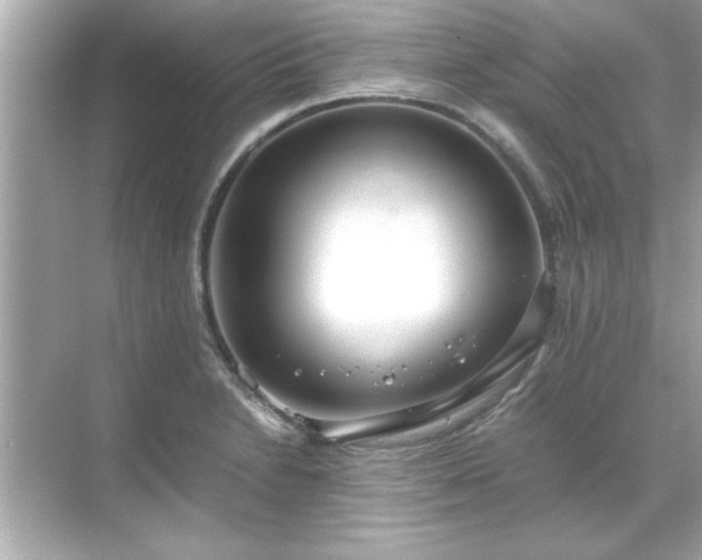X0000071841230200607072227
