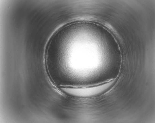 X0000071841232200607072227