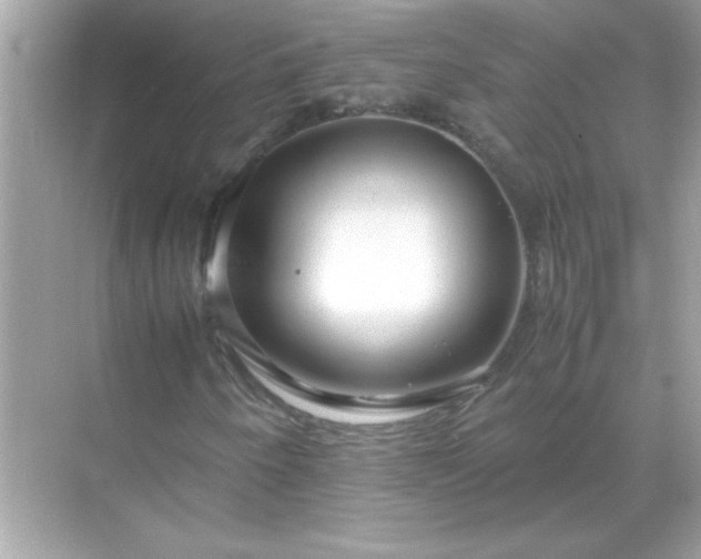 X0000071841250200607072226