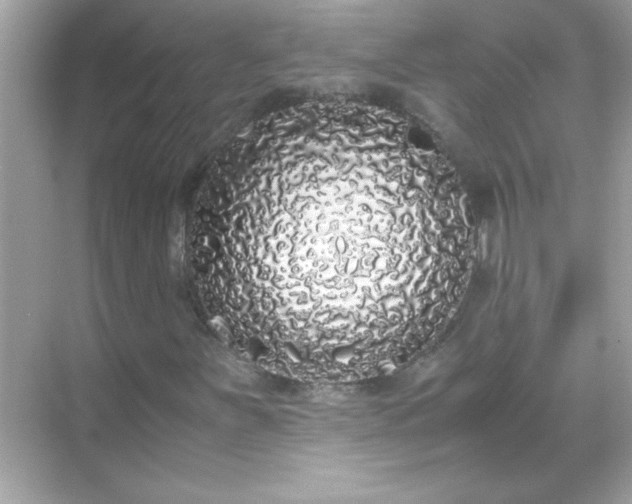 X0000071841251200607072226