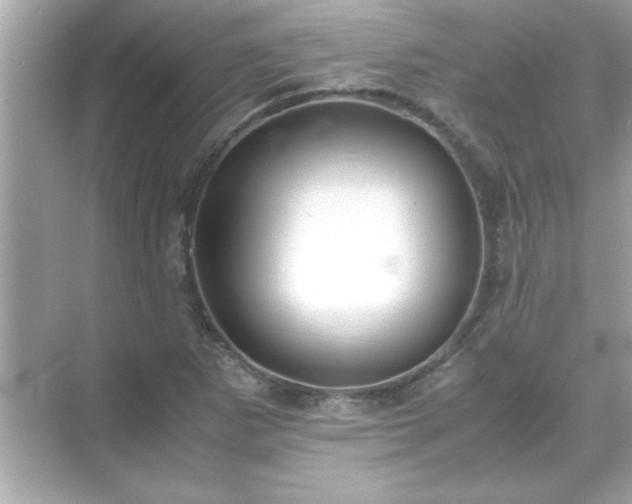 X0000071841265200607072226