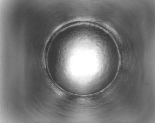 X0000071841272200607072226