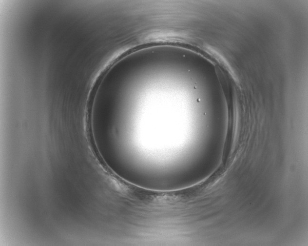 X0000071841277200607072226