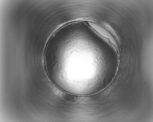 X0000071841284200607072226