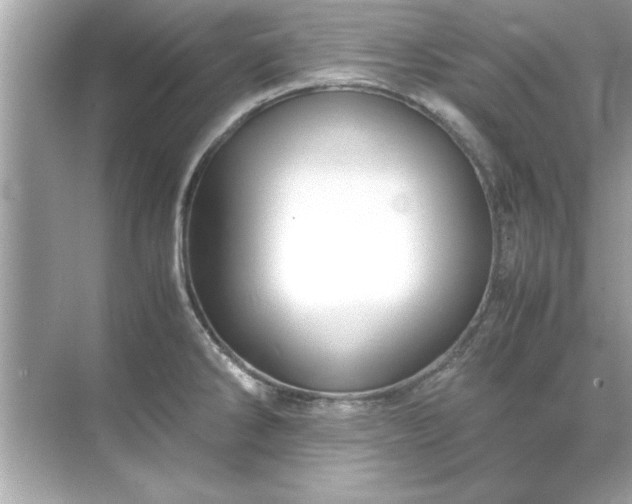 X0000071841286200607072226