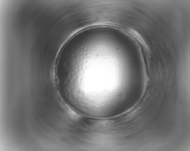 X0000071841292200607072226