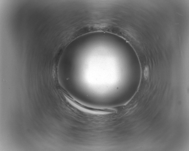 X0000071841299200607072225