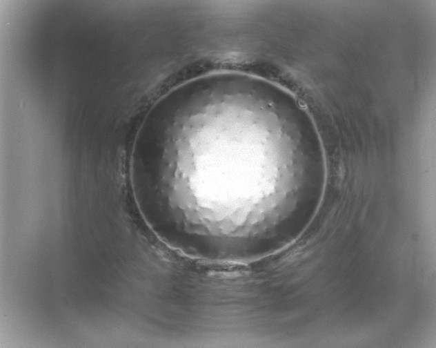 X0000071841301200607072225