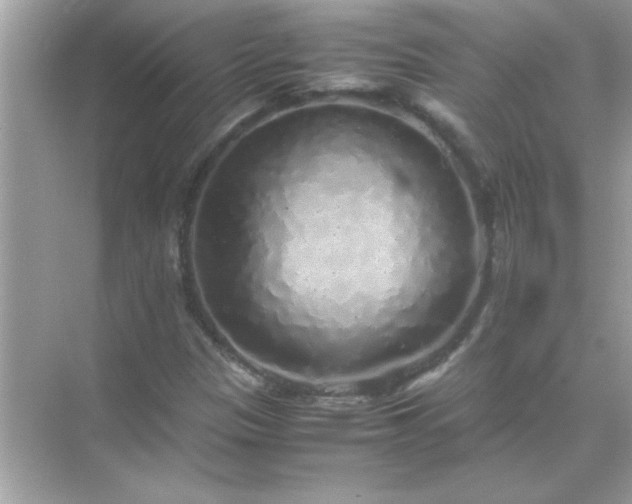 X0000071841305200607072225