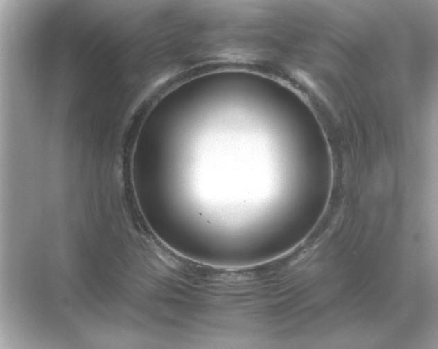 X0000071841307200607072225